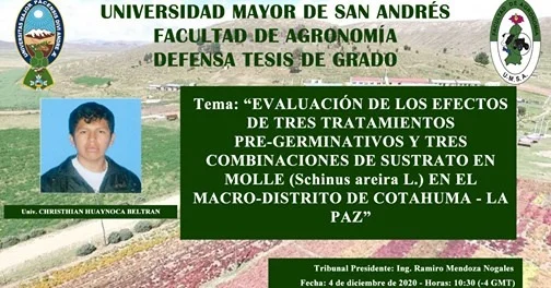 Tratamientos pre-germinativos en molle