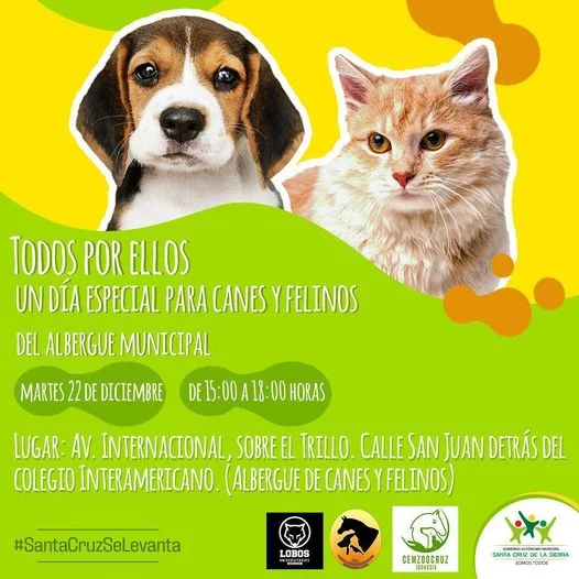 Animalitos en adopción (Santa Cruz)