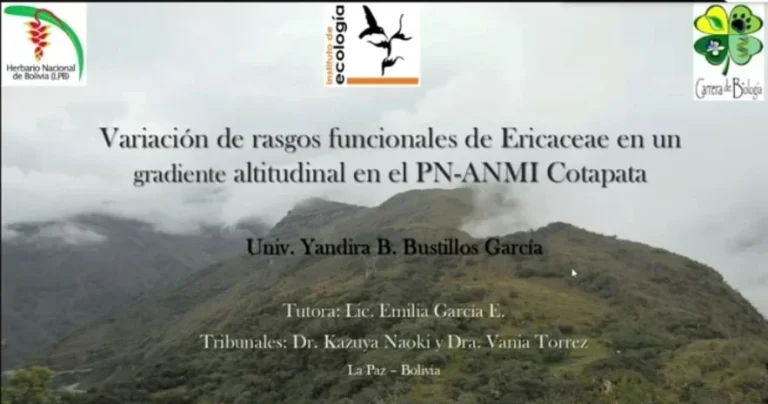 Rasgos funcionales de Ericaceae