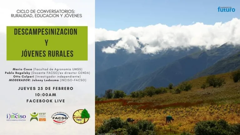 DESCAMPESINIZICACIÓN