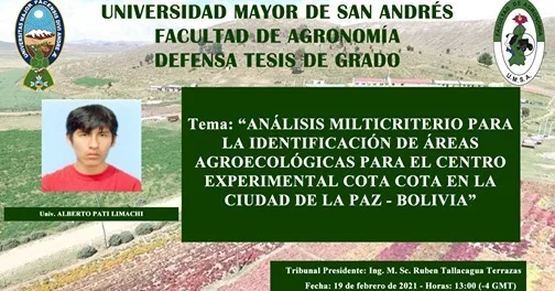 ENRAIZADORES NATURALES