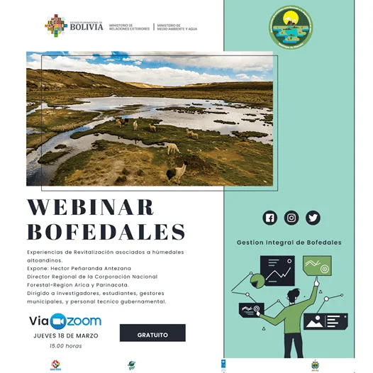 BOFEDALES
