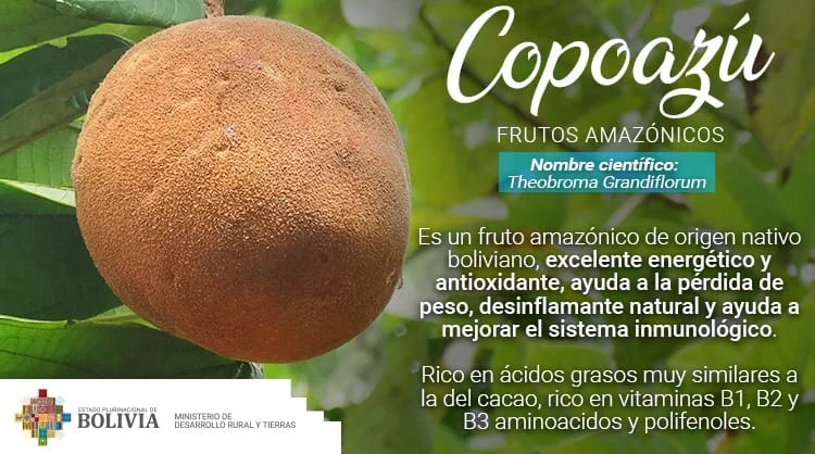 FERIA DE FRUTOS Y PESCADOS (LA PAZ).