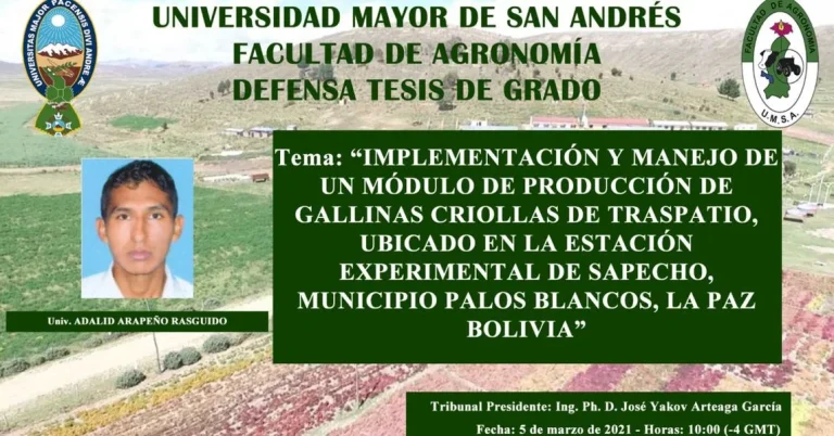 PRODUCCIÓN DE GALLINAS CRIOLLAS