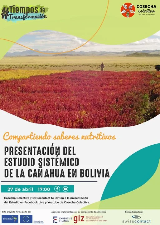 ESTUDIO DE LA CAÑAHUA EN BOLIVIA