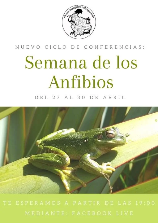 SEMANA DE ANFIBIOS