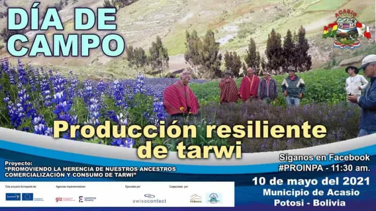 CULTIVO Y CONSUMO DEL TARWI