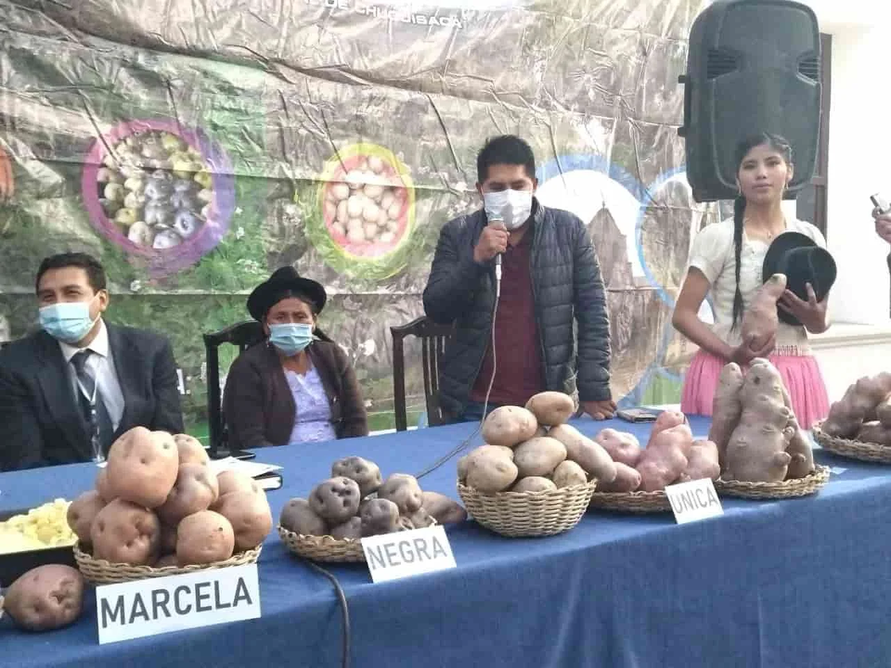 24_Feria_papa-min-737