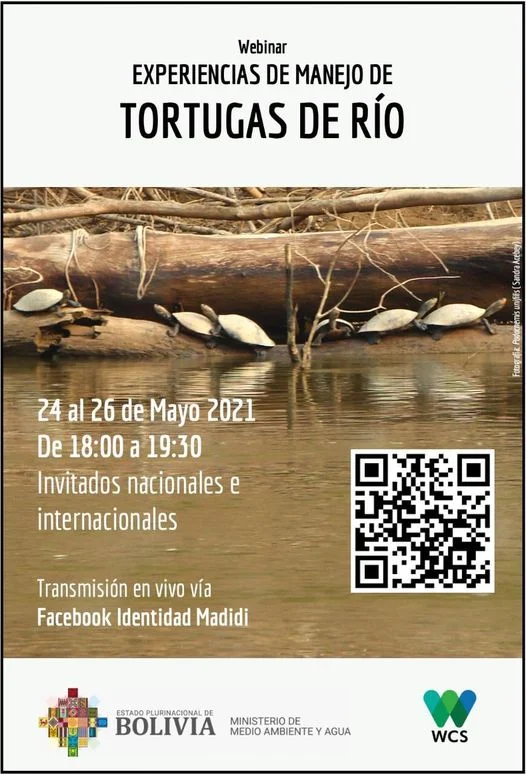 TORTUGAS DE RÍO