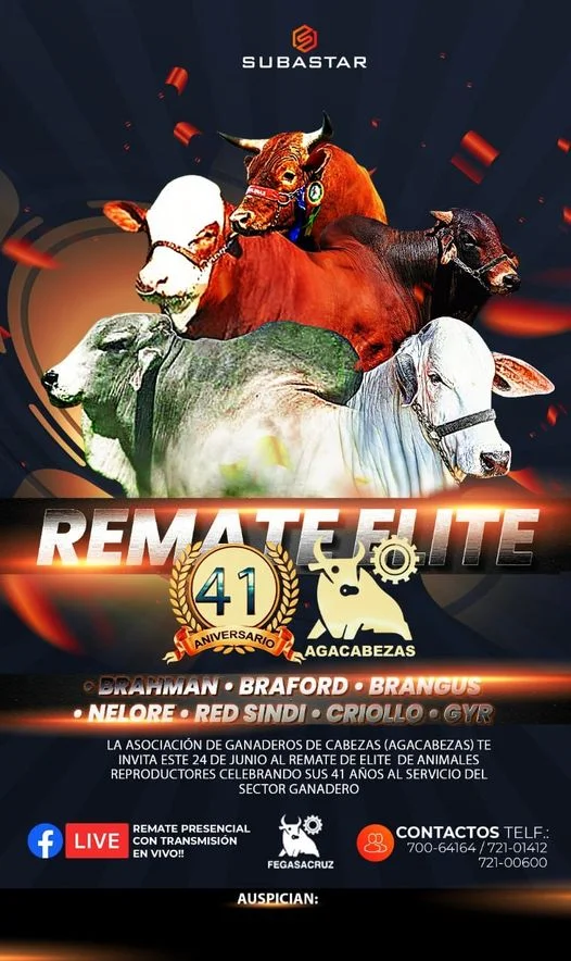 REMATE DE GANADO VACUNO
