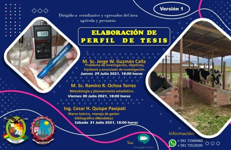 Elaboración de perfil de Tesis