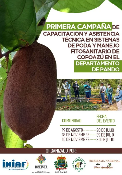 PODA Y M,ANEJO DEL COPOAZÚ