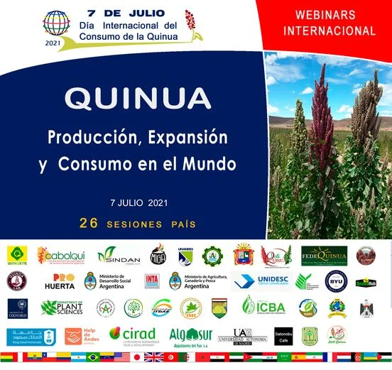 DÍA INTERNACIONAL DEL CONSUMO DE QUINUA