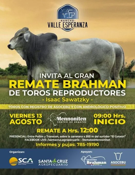 EXPOSICIÓN REMATE BRAHMAN