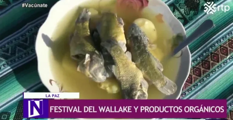 FESTIVAL DEL WALLAKE – La Paz