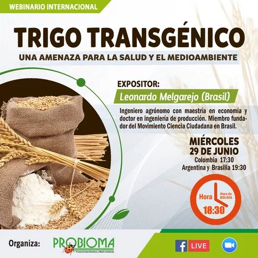 SEMINARIO: TRIGO TRANSGÉNICO