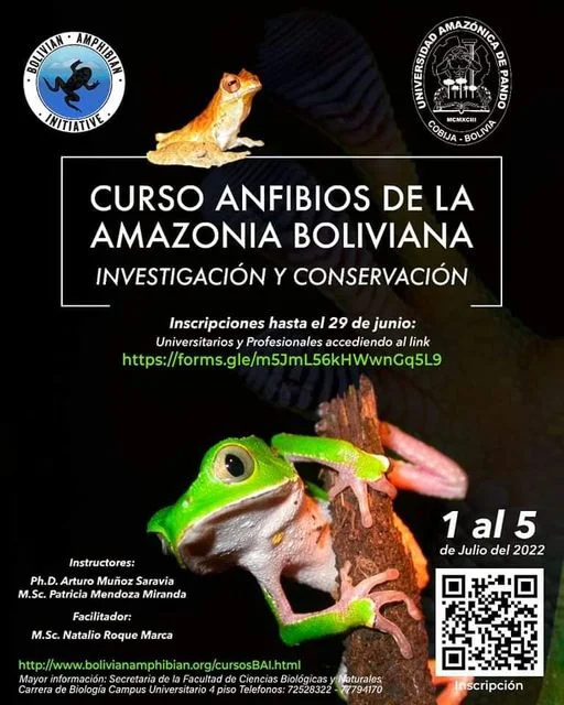 ANFIBIOS DE LA AMAZONÍA – PANDO