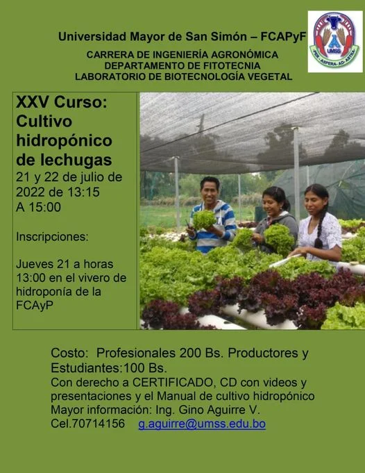HIDROPONIA EN LECHUGA – CBBA.