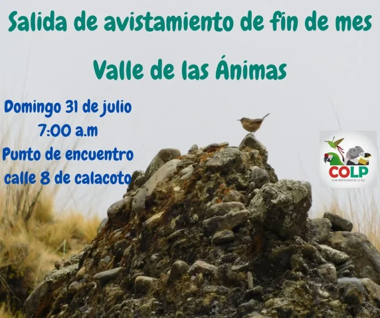 AVISTAMIENTO DE AVES – LP.