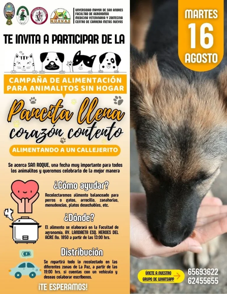 CAMPAÑA PANCITA LLENA – LP.
