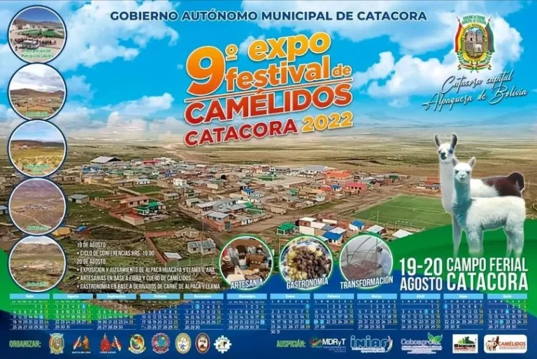 EXPOFESTIVAL DE CAMÉLIDOS – LP.