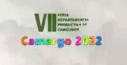 FERIA DE CAMÉLIDOS – CHUQ.