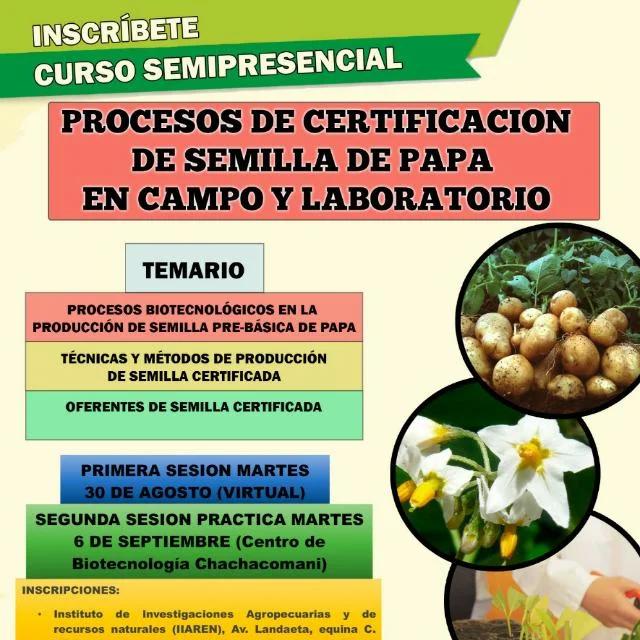 CERTIFICACIÓN DE SEMILLA DE PAPA – LP.