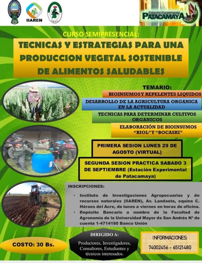 ALIMENTOS SALUDABLES – LP.