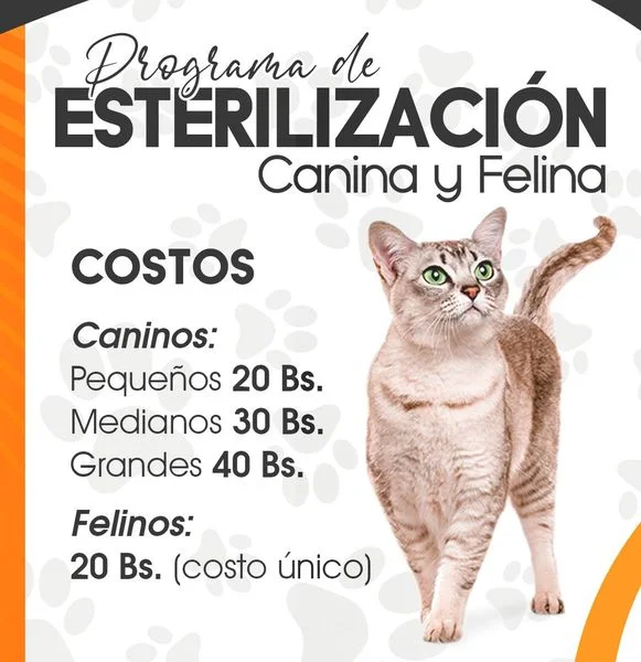 c3_programa_ESTERILIZAC-9f1