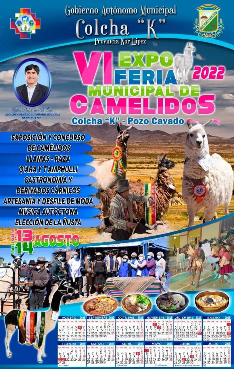 c8_expoferia_camelid-c20