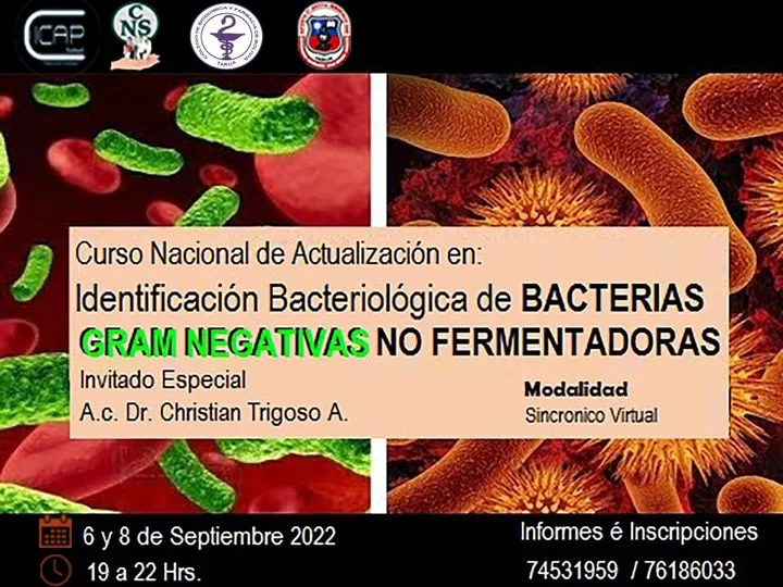 BACTERIAS GRAM NEGATIVAS