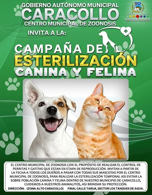 o13_CAMPAA_ESTERILIZAC-163