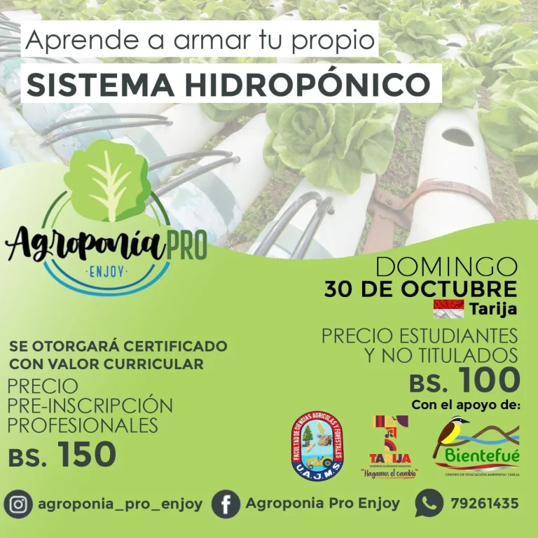 SISTEMA HIDROPÓNICO – TJA.