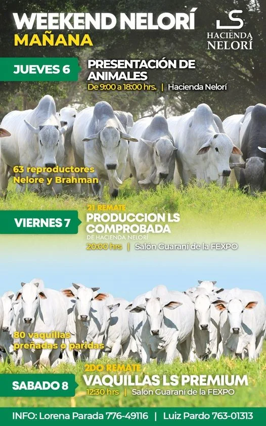 PRESENTACIÓN RAZA NELORÍ – S.C.