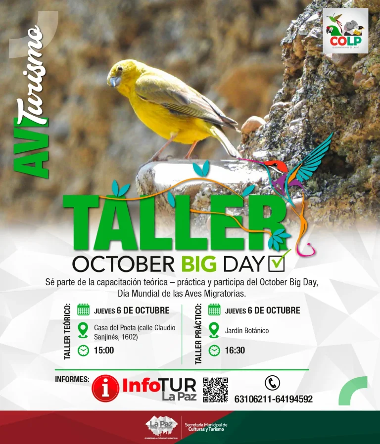 TALLER OCTOBER BIG DAY – LP.