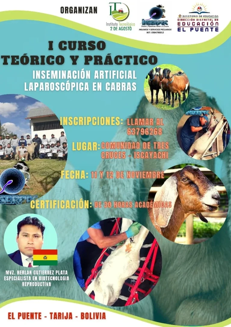 INSEMINACIÓN ARTIFICIAL CABRAS – TJA.