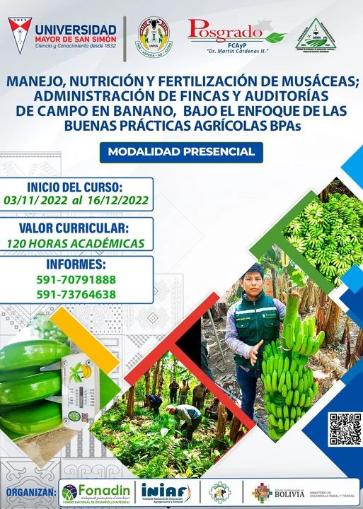 MANEJO DE MUSACEAS – CBBA.