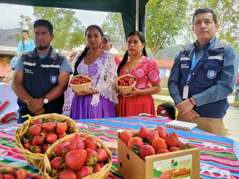 FERIA DE LA FRUTILLA – CBBA.
