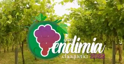 VENDIMIA CHAQUEÑA – TJA.