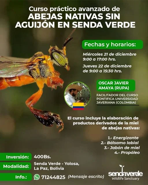 Curso ABEJAS NATIVAS SIN AGUIJÓN. Lugar: Yolosa – La Paz. Fecha: 27 y 28/dic./2022.