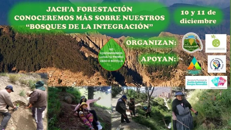 FORESTACIÓN – LP.