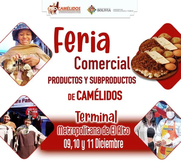 d8_FERIA_COMERC-4df