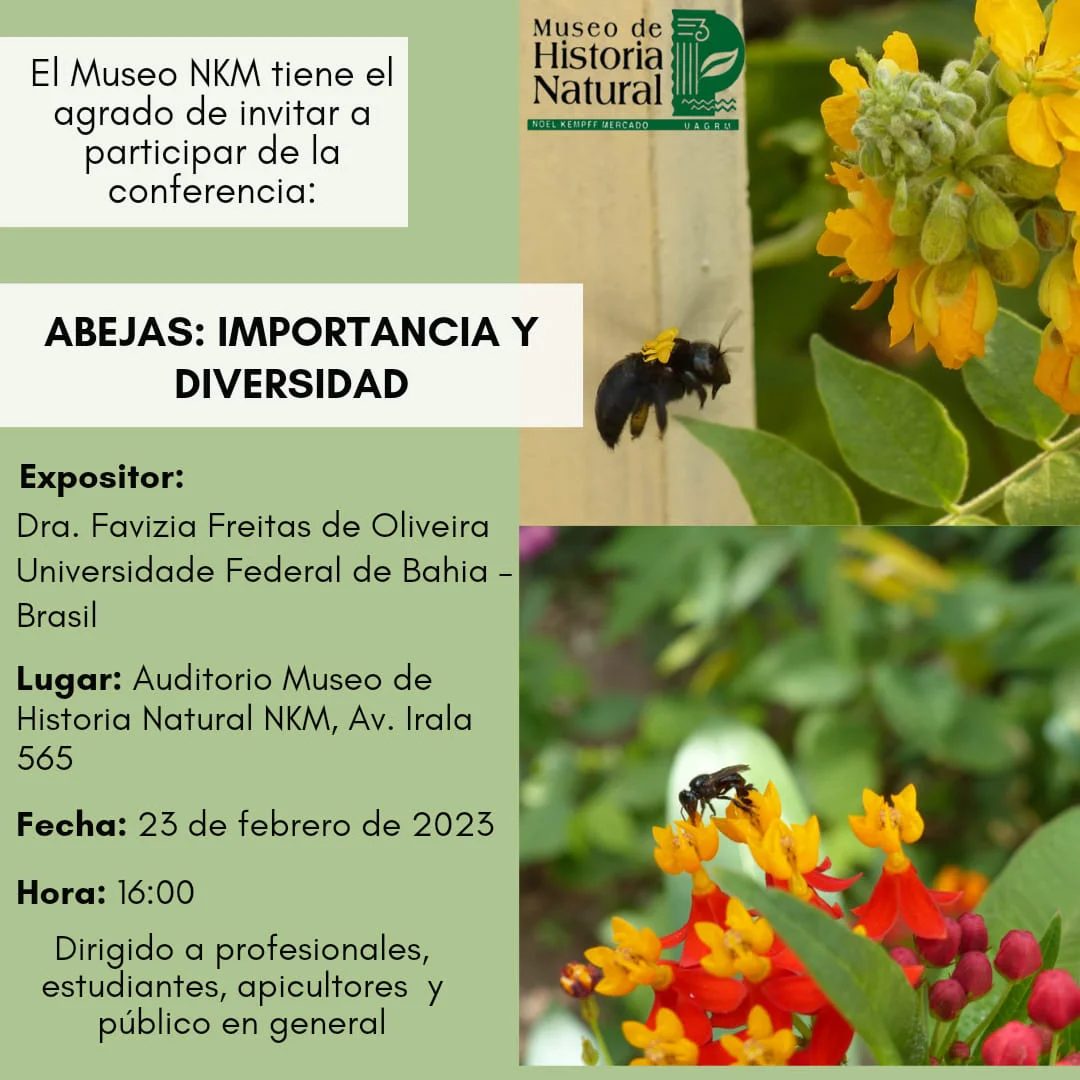 Feb_22_abeja-b28