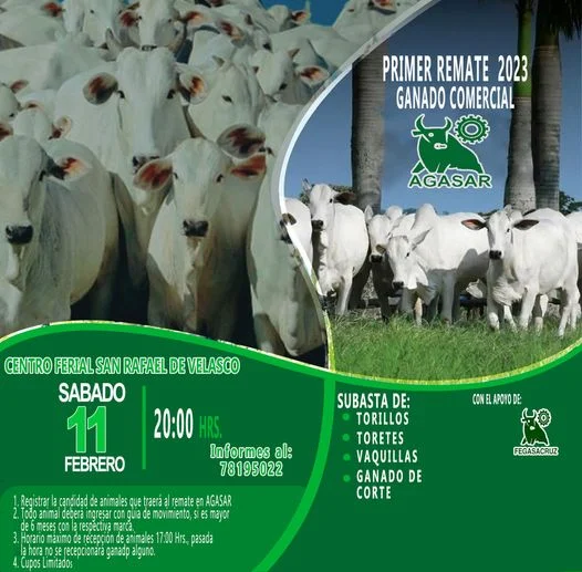 REMATE DE GANADO, en San Rafael de Velasco – Santa Cruz, el 11/febrero.