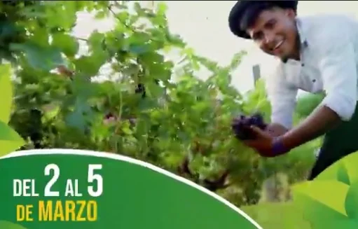 FERIA NACIONAL VITINÍCOLA, en Chuquisaca, del 3 al 5/marzo.