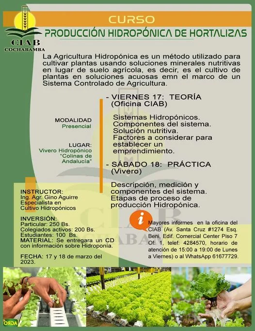 Curso PRODUCCIÓN HIDROPÓNICA DE HORTALIZAS, en Cochabamba, el 17 y 18/marzo.
