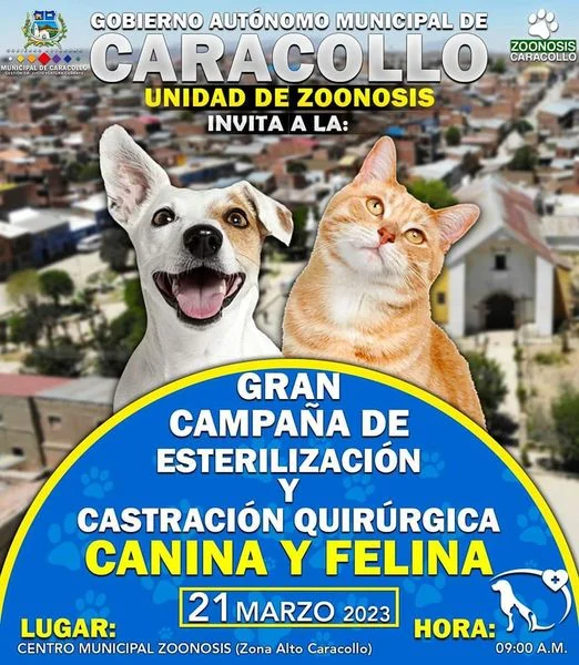 CAMPAÑA DE ESTERILIZACIÓN, en Oruro, el 21/marzo.