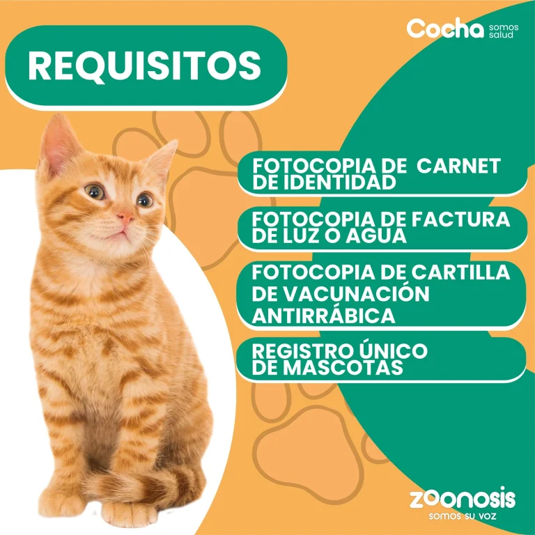 CAMPAÑA DE ESTERILIZACIÓN Y CASTRACIÓN, en Cochabamba, el 23/marzo.