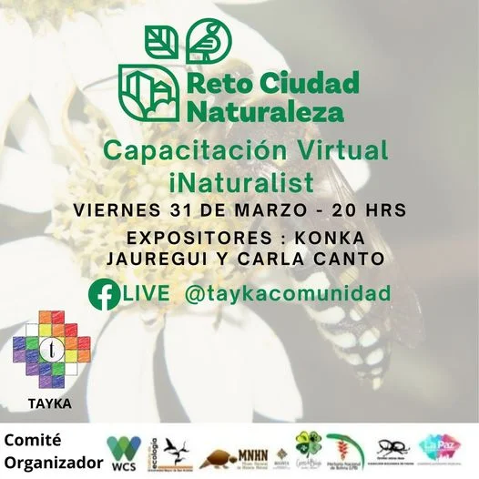 Capacitación APLICACIÓN ¡NATURALIST, virtual, el 31/marzo.