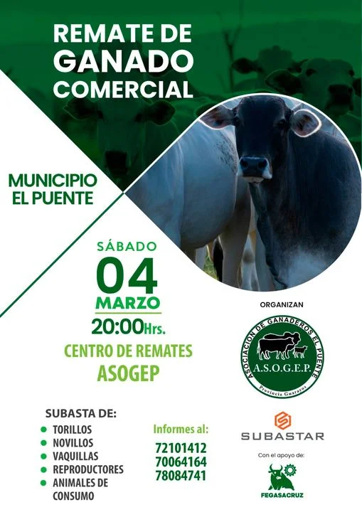 REMATE DE GANADO COMERCIAL, en Santa Cruz, el 4/marzo.
